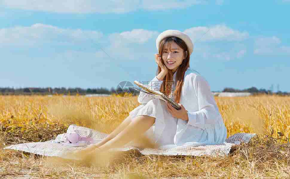 站群服务器薇新火f