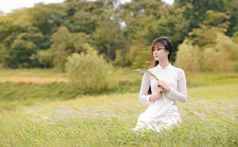 站群网站推广工具